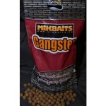 Mikbaits boilies Gangster v dipu 250ml 24mm G2 Krab & Ančovička & Asa – Sleviste.cz