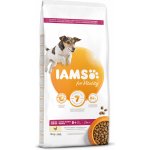 Iams Dog Senior Small & Medium s kuřecím masem 3 kg – Hledejceny.cz