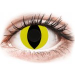 Gelflex CRAZY LENS - Cat Eye Yellow - nedioptrické jednodenní 2 čočky – Hledejceny.cz