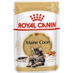 Royal Canin Mainecoon 12 x 85 g – Sleviste.cz