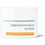 Dr. Hauschka Kosmetikum na rty 4,5 ml – Hledejceny.cz