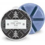 Goose Creek Candle Vonný Vosk Cozy with You 59 g – Hledejceny.cz