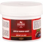 Koh-i-Noor 165546 Akrylový lesklý lak 500 ml – Zboží Dáma
