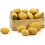 Sadbové brambory 5 kg Odrůda: Red Anna červ. var. typ A – Zbozi.Blesk.cz