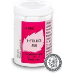 Radim Bakeš Galenická laboratoř Ostrava AKH Phytolacca 60 tablet – Hledejceny.cz