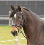 HARRY'S HORSE Two-Tone s anglickým nánosníkem – Sleviste.cz
