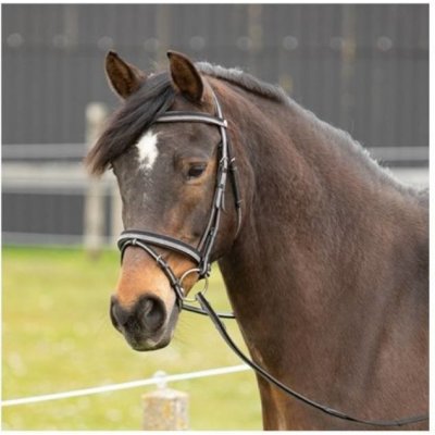 HARRY'S HORSE Two-Tone s anglickým nánosníkem – Sleviste.cz