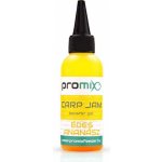 Promix Carp Booster Jam Sladký Ananas 60 ml – Hledejceny.cz