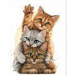 Norimpex diamantové malování Kočičí pyramida 30 x 40 cm – Hledejceny.cz