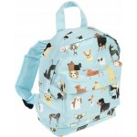 Rex London Výstavní psi – Zboží Dáma