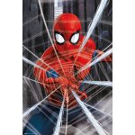 Grupo Erik Plakát Spider-Man - Gotcha – Hledejceny.cz