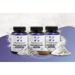 Neuronwell Magnesium Komplex 3 formy hořčíku Malát, Citrát, Bisglycinát 100 ks – Hledejceny.cz