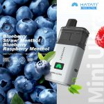 Hayati Mini Ultra Blueberry Straw´ Menthol Blueberry Raspberry Menthol 20 mg 1500 potáhnutí – Zboží Dáma