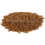 UGF sušený moučný červ 1 kg – Sleviste.cz