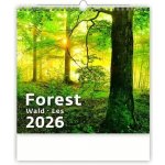 Helma nástěnný Forest/Wald/Les 30 × 30 cm 2026 – Zboží Mobilmania