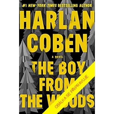 Chlapec z lesů - Harlan Coben