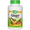 Doplněk stravy na imunitu Nature's Way Ginger Root 550 mg zázvor 180 kapslí .