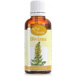 Serafin Divizna tinktura z pupenů 50 ml – Hledejceny.cz