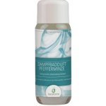 Finskasauna aroma do parní sauny máta peprná 250 ml – Hledejceny.cz