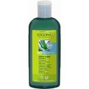 Tělové mléko Logona Daily Care tělové mléko Bio Aloe & Verbena 200 ml