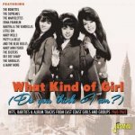 What Kind Of Girl Various - What Kind Of Girl CD – Zbozi.Blesk.cz