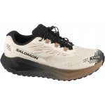 Salomon Aero Blaze 4 Grvl Gtx černé – Hledejceny.cz