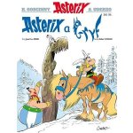 Asterix 39 - Asterix a gryf - Jean-Yves Ferri – Hledejceny.cz
