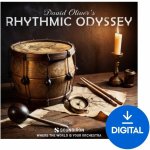 Soundiron Rhythmic Odyssey V2 (Digitální produkt) – Zboží Živě