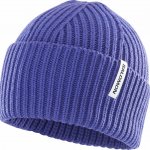 Salomon Snowbird beanie LC2629800 liberty – Hledejceny.cz