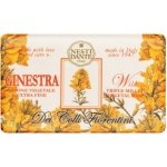 Nesti Dante Dei colli Fiorentini mýdlo Janovec 250 g – Zboží Dáma