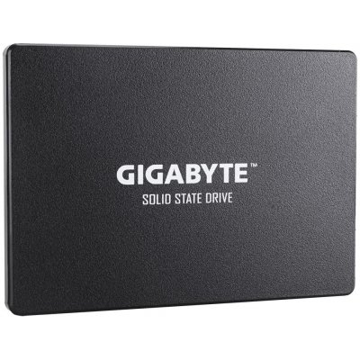 Gigabyte 256GB, SSD, GP-GSTFS31256GTND