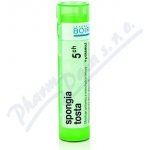 SPONGIA TOSTA POR 5CH GRA 4G – Hledejceny.cz
