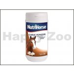 NutriHorse Česnekový prášek 0,8 kg – Hledejceny.cz