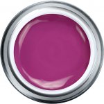 Ruscona UV/LED gel HOLLYWOOD 162 5 ml – Zboží Dáma Ruscona UV/LED gel HOLLYWOOD 162 5 ml – Zboží Dáma