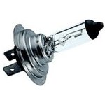 Hejalux H7 PX26d 12V 55W