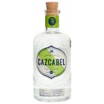 Cazcabel Coconut Tequila 34% 0,7 l (holá láhev) – Zboží Dáma