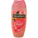 Palmolive Thermal Spa Gentle Massage sprchový gel 250 ml – Hledejceny.cz