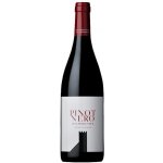 Colterenzio z Alto Adige Colterenzio Pinot Nero 2024 DOC 13,2% 0,75 l (holá láhev) – Hledejceny.cz