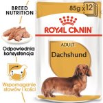 Royal Canin Breed Jezevčík 85 g – Sleviste.cz