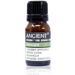 Ancient Wisdom Zázvor bio 100% éterický olej 10 ml – Hledejceny.cz