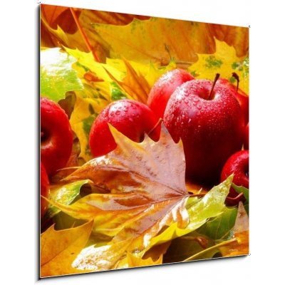 Skleněný obraz 1D - 50 x 50 cm - Harvest. Autumn still life with red apples and leaves Sklizeň. Podzimní zátiší s červenými jablky a listy – Zboží Mobilmania