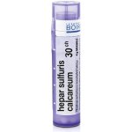 HEPAR SULFURIS CALCAREUM POR 30CH GRA 4G – Hledejceny.cz
