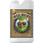 Advanced Nutrients Big Bud Coco Liquid 250 ml – Sleviste.cz