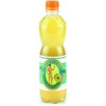 Stevikom kombucha měsíček 0,5 l – Zboží Dáma