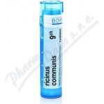 RICINUS COMMUNIS POR 9CH GRA 4G – Hledejceny.cz