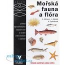 OKO Mořská fauna a flóra