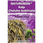 Naturgreen Kelp Chaluha bublinatá organický jód 120 kapslí – Hledejceny.cz