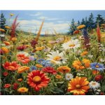 Norimpex diamantové malování Rozkvetlá louka 30 x 40 cm – Hledejceny.cz