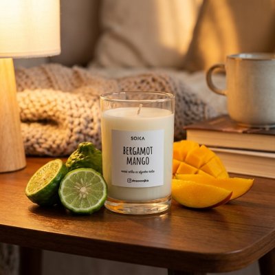SOJKA Bergamot & Mango 80 g – Zboží Mobilmania