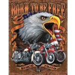 Plechová cedule Born To Be Free 40 cm x 32 cm – Zboží Mobilmania